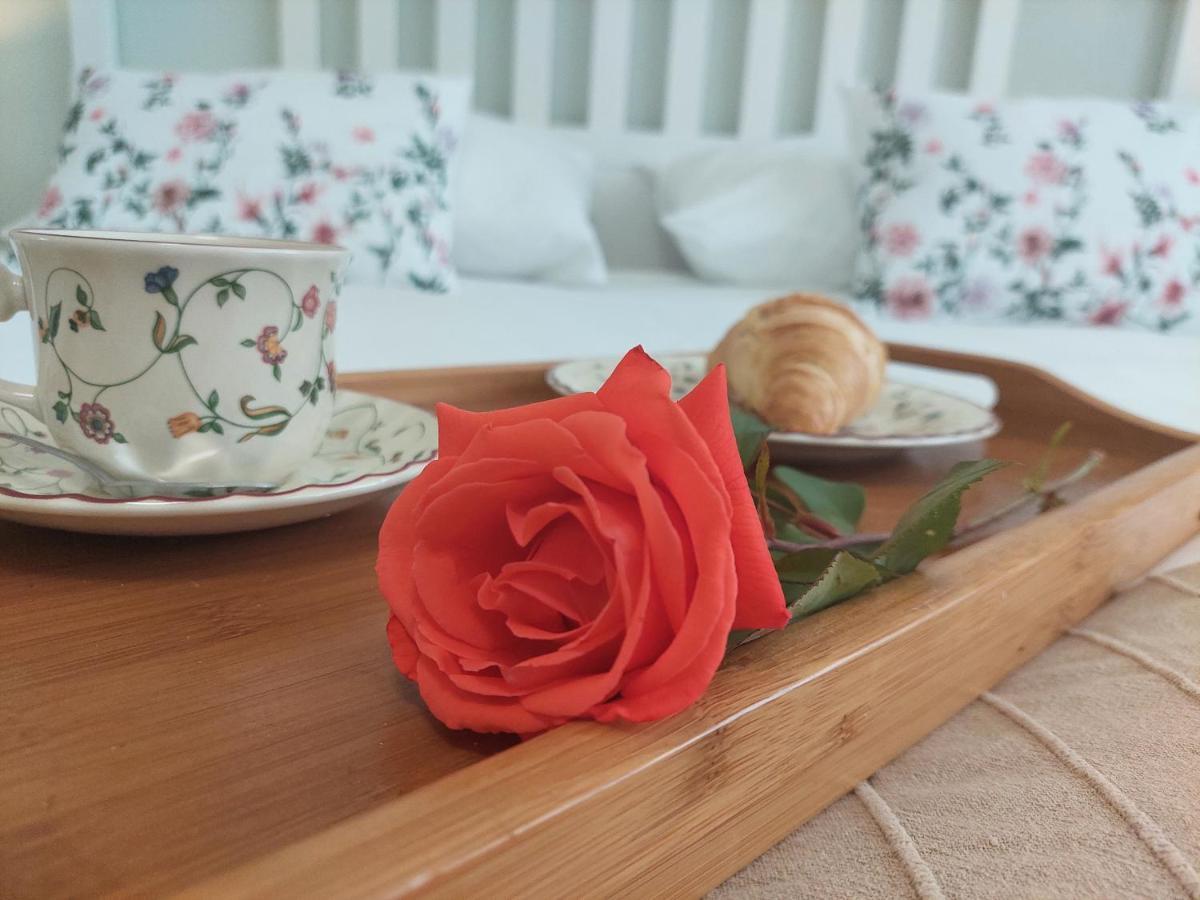 Villa Ivana Labin  Ngoại thất bức ảnh