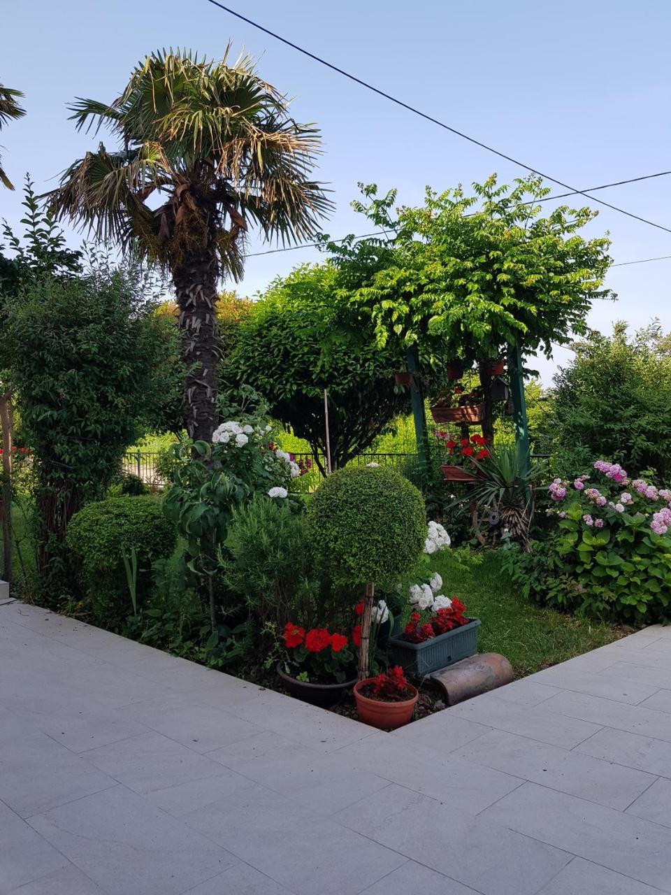 Villa Ivana Labin  Ngoại thất bức ảnh