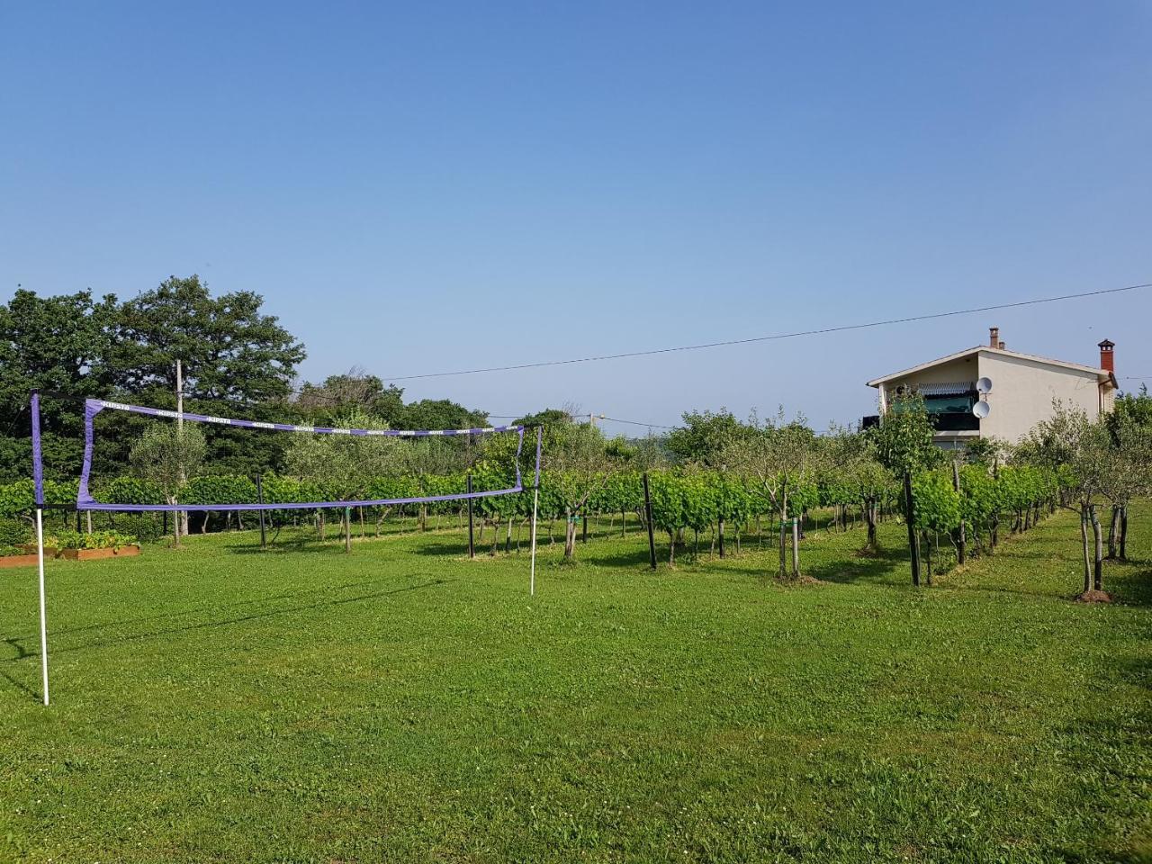 Villa Ivana Labin  Ngoại thất bức ảnh